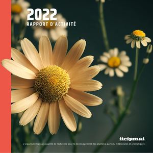 Rapport d'activités 2022