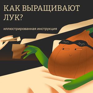 макет инструкции