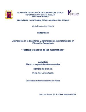 Mapa Conceptual De Los Numeros Reales (1)