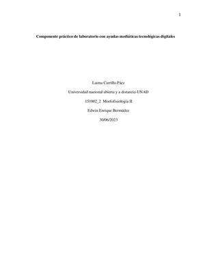 Componente Práctico De Laboratorio Con Ayudas Mediáticas Tecnológicas Digitales