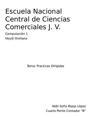 Practicas Dirigidas Rojop López, Abbi Sofia