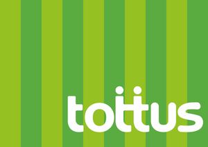 Proyecto Final Tottus