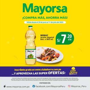 Catalogo Mayorsa C07-23