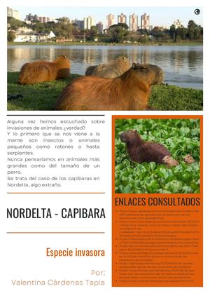 Nordelta Capibara