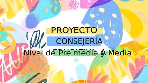 Proyecto de consejeria a nivel media y premedia