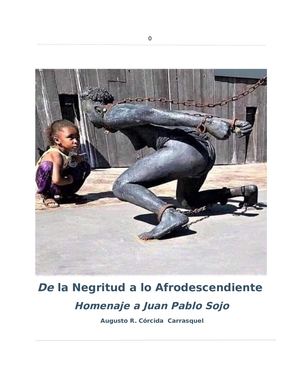 De La Negritud A Lo Afrodescendiente