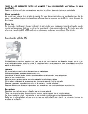 LOS DISTINTOS TIPOS DE MONTAS Y LA INSEMINACIÓN ARTIFICIAL EN LOS PORCINOS.