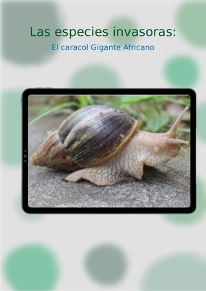 El caracol Gigante Africano