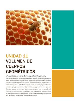 UNIDAD 11 CUERPOS GEOMETRICOS AV