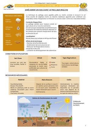 Fiche Technique : le Pailage Mulch