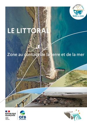 Le Littoral : zone au contact de la terre et de la mer - Parc naturel marin du golfe du Lion