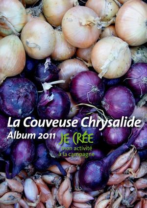 Album de la Couveuse D'à Petits Pas 2011