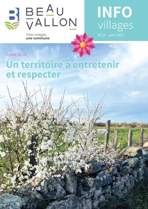 Beauvallon N10 Bd Super Compressed 1