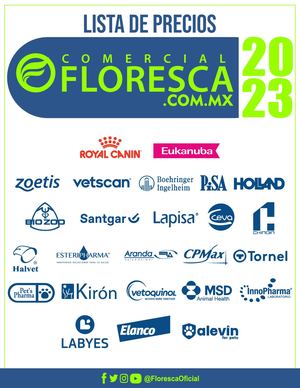 Lista De Precios Comercial Floresca