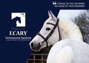 Plaquette Agence Ecary 2023