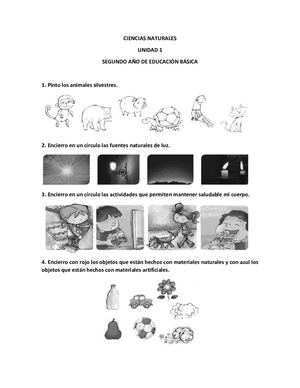 Evaluaciones Segundo Ciencias Naturales