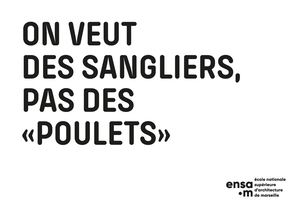 On veut des sangliers...
