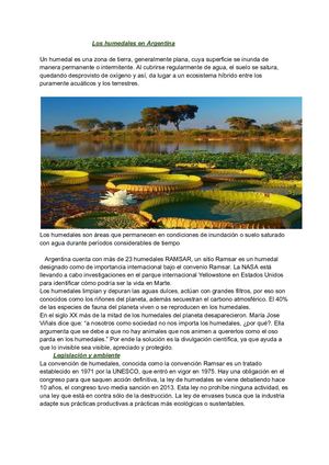 Los Humedales