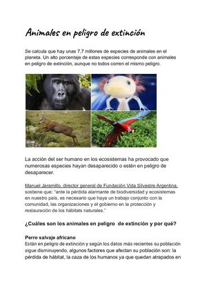 Animales En Peligro De Extinción (1)