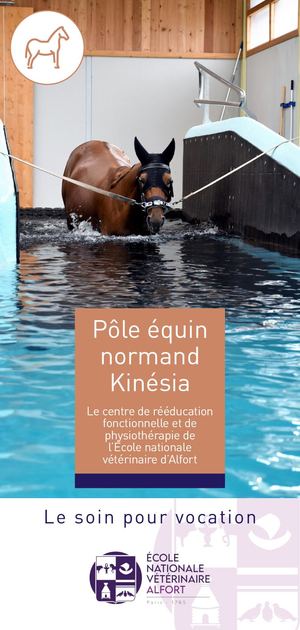 Flyer Kinésia - Campus normand
