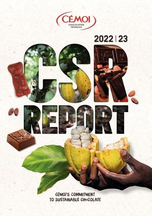 Rapport Rse 2022 23 En Web Pap Leger