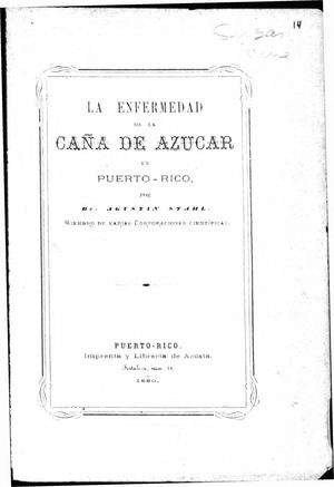 14 La Enfermedad De La Caña De Azucar- Agustin Stahl 1880