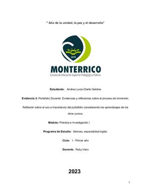 Portafolio Andrea Olarte
