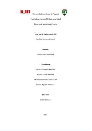 Informe De Bioquimica 11