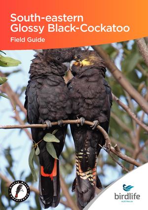 SEGBC Field Guide Single ISBN Flat