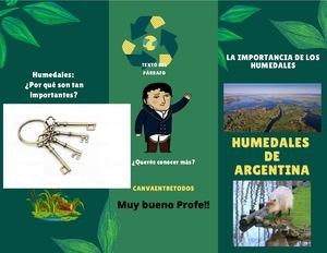 Folleto Tríptico De Cuidado Ambiental Y Reciclaje Moderno Ilustrado