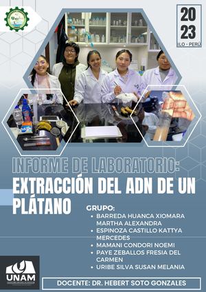 Informe Extraccion Del ADN Del Platano