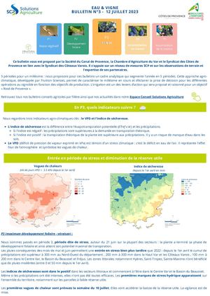 Bulletin Vigne N°3 Saison 2023