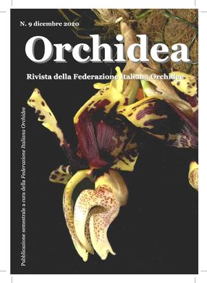Orchidea #9