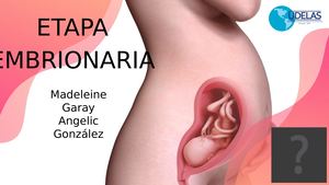 Etapa Embrionaria