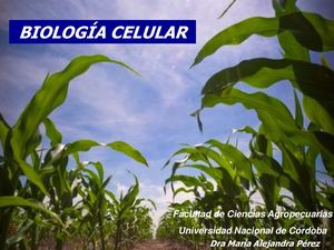 Biología Celular