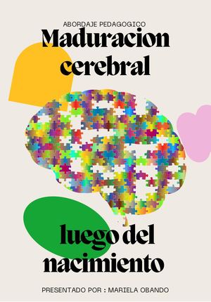 maduracion cerebral antes del nacimiento