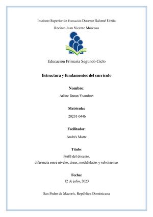 Perfil Docente Informe Pdf