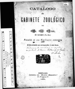 434 Catalogo Del Gabinete Zoologico Agustin Sthal 1882