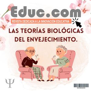 Desarrollo Humano La Vejez