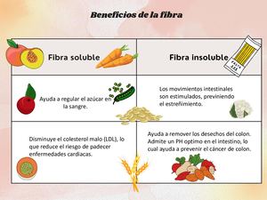 Beneficios De La Fibra