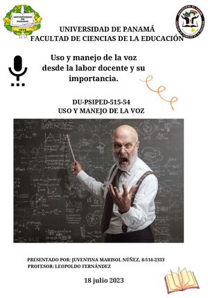 Uso Y Manejo De La Voz Desde La Labor Docente Y Su Importancia
