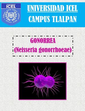 Gonorrea