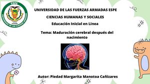 Maduración cerebral después del nacimiento