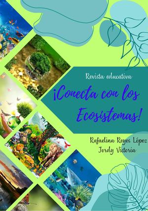 Los ecosistemas