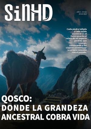Calaméo - REVISTA SINHD N°022