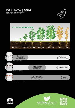 Aminochem Brasil® | Programa Soja | Estádios Fenológicos