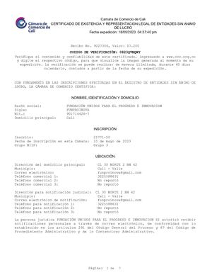 B Certificado De Existencia Y Representacion