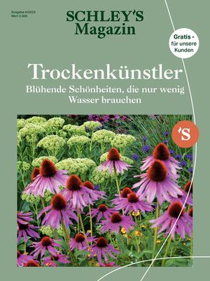 Mein ParadiesGarten 4/23 Schley Bochum