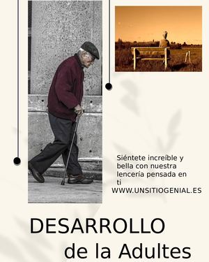 Revista 1