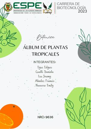 Álbum de plantas tropicales